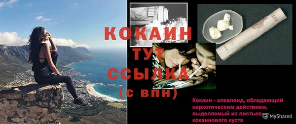 прущие крисы Абаза