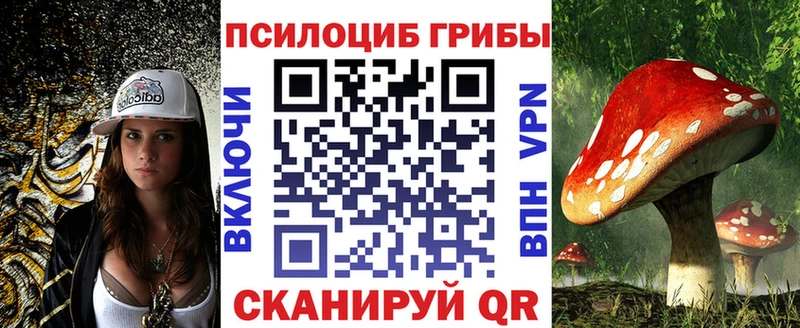 Псилоцибиновые грибы Cubensis Советск